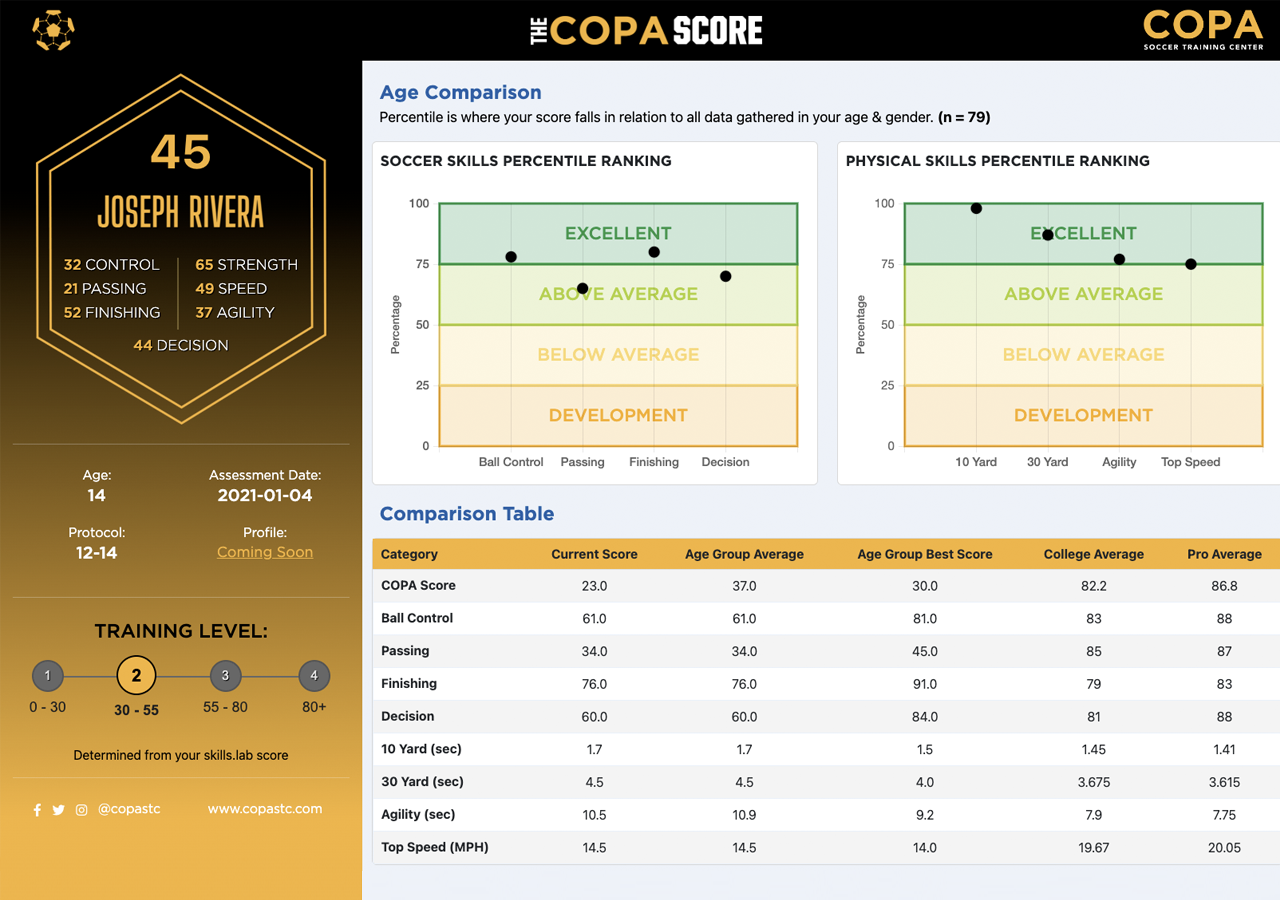 The COPA Score - Scorecard